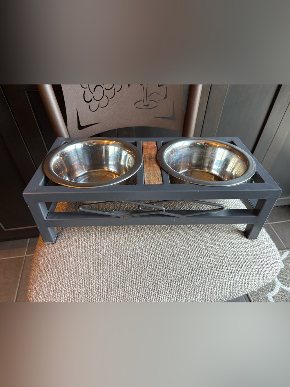 Double Elevated Stainless Steel Pet Bowls with Iron Stand